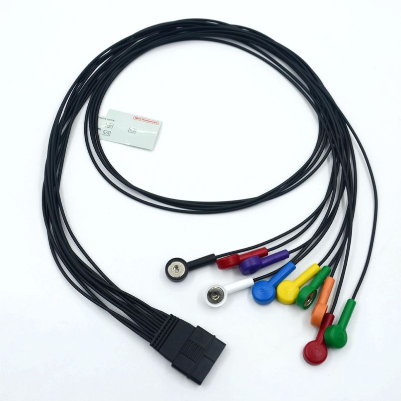 Cable électrocardiogramme pour patient compatible Schiller 10 avec plomb Schiller pour Schiller MS-12 Cable électrocardiogramme bleu