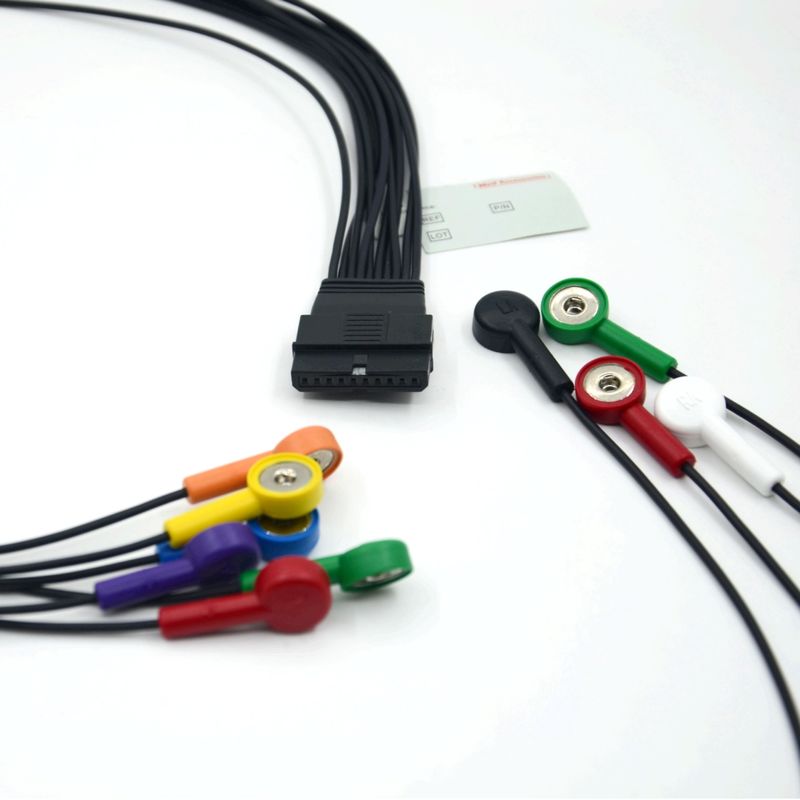 Cable électrocardiogramme pour patient compatible Schiller 10 avec plomb Schiller pour Schiller MS-12 Cable électrocardiogramme bleu